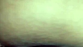 Discovering my new love in amateur shemale encounter