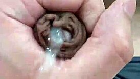 Piroca grande with cute bisexual neighbors in homemade.