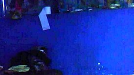 My Husband Got Drunk and Fucked the Neighbor!