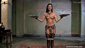 I'm tied up, getting my ass toyed in training.