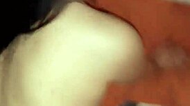 अर्जेंटाइन डॉगीस्टाइल रेज में दीवार से स्लैम करके लंबे बाल खींचे