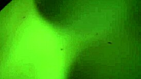 Songbird Fucks Intensely In Laguna Bend Cyberpunk 2077