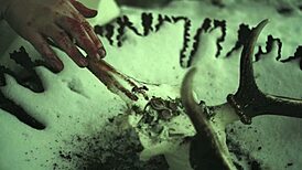 i'm a goth babe fingering my pussy in black metal alps austria uncensored