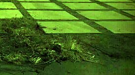 hd teen bath solo unless youre from the sixties and dig that earth