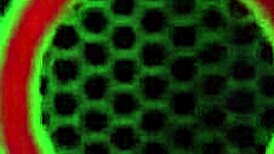 after riding like a cowgirl vicky vette gets facial