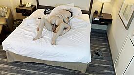 Sexy Petite 18+ Beauty Gets Fucked and Filled with Hot Cum Inside