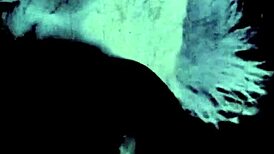 My Secret Vintage Bisexual Threesome Life