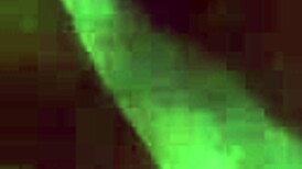 Nasty blowjob that feels amazing.