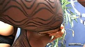 Cynthia Pendragon Mya Lovely And Vanessa Blue Enjoying Bbc Lex Steele