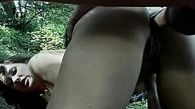 She Visits Hollywood And Gets Fucked In The Forest With Cumshot