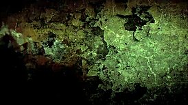 Vintage Erotic Drawings Evoke Deep Emotions