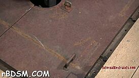 Whipping Sadomasochism Intense Session