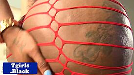 Black bigass tranny assfingering solo in fishnets!