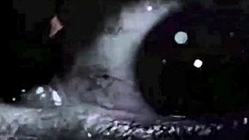 Detailed Vintage Cartoon Illustration