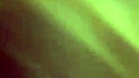 Fun sex with blowjob action