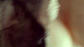 feeling wild with toys in retro mb1977th