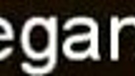 Mysterious Brunette Indian Babe Solo