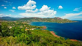 skinny teen luna rival tempts with anal in stockings