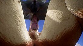 In the wildlife scene, a tiger makes a lizard cum multiple times through intense blowjob and assfucking