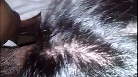 phat ass latina sucks big black cock