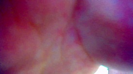 Wow! My girlfriend submits to epic banging!