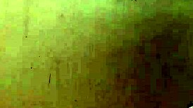 Booty Queen Of Colombia Enjoys Pussy Licking Dinner