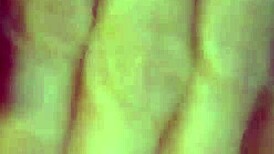 stella pounds her swollen pussy and ass hard