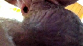 I couldn't resist and choked on the pastor's cock at church