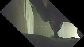 Etalon couilles pleines gros juteur se fait purger en glory hole