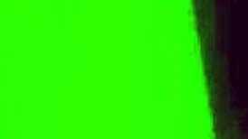 Maron Fucks Master Roshi in Dragon Ball Parody