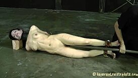 babes bent over, getting rough doggystyle sex