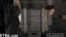 Sadomasochism video with rough bondage and blowjob