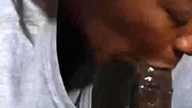 Watch the black woman in real couple performing sexy blowjob and oiled fucking