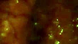 Mi Tío Me Masturba La Vagina Peluda