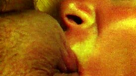 Slutty redhead girlfriend passionately sucks amateur cock with intense pleasure