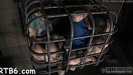 Slaves endure torment in an intriguing neutral setting