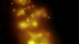 sarah jain dominates pantyhose modeling shoot with killer legs. blonde stuns in nylon backstage!