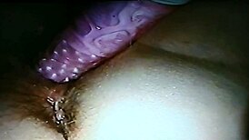 Blindfolded wife gets drilled with RABBIT DILDO in wild session.