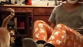 Everyday folks share homemade fetish clips in this compilation