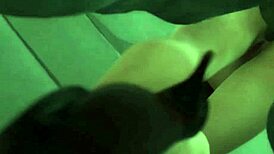 Hey, Ada from the game is getting her big ass pounded in this hot anime hentai scene with pussy fucking and horny cartoon action