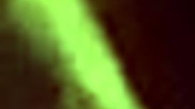 Licking Ass and Pussy with Intense Emotions