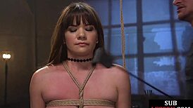 curvy babe tied up, getting pounded by male dom hard