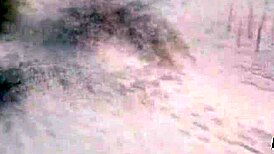 victor bloom fucks horny latinas from peru, chile, argentina, brazil, uruguay, and spain outdoors