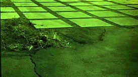 i got a big ass brazilian teen 18+ unless youre from the sixties and delve that