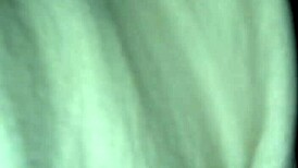 part 2 lol its as if big booty eva went to work and left the best part of her behind that good ol t h a p thighs hips ass pussy