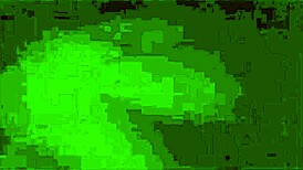 Amateur couple's steamy hotel blowjob on vacation