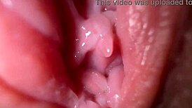 क्लोज अप टीन 18+ चूत फैलाकर वाइल्ड डर्टी टॉक