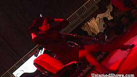 naughty brunette dances, ripping clothes in striptease