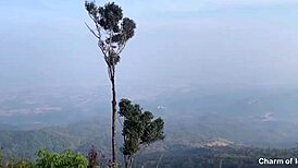 Asian Cutie Bent Over For Rough Doggystyle Sex On Mountain