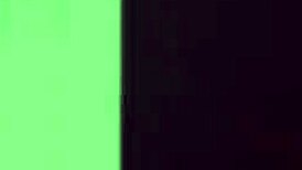 lesbea black british babe asia rae lesbian romance with lovely lexi dona